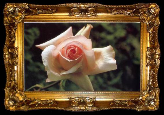 framed  unknow artist Still life floral, all kinds of reality flowers oil painting  301, ta009-2